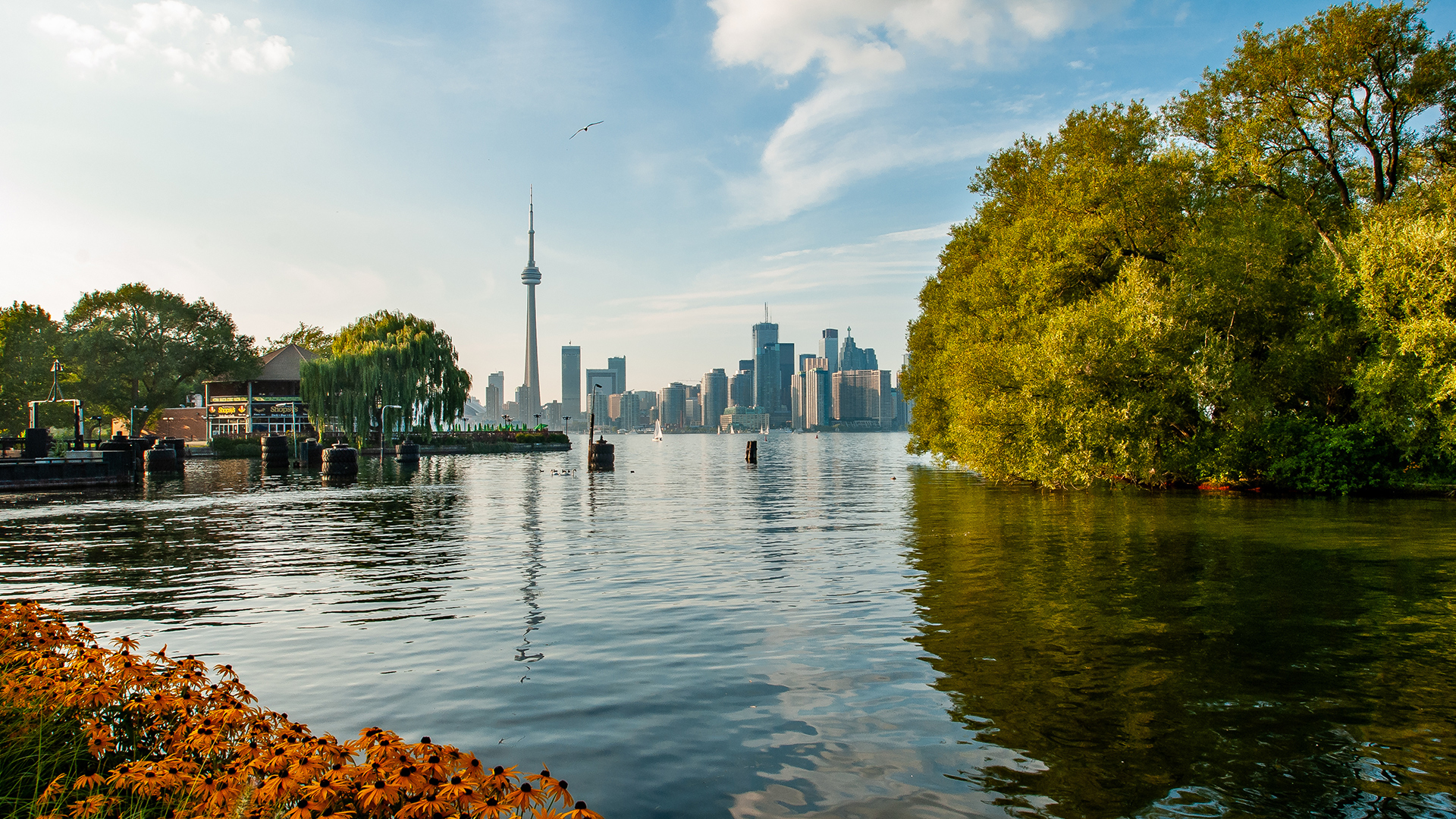 Images of business opportunities in priority sectors under the canada startup visa program